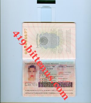 419My passport
