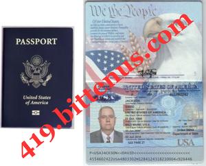 419David_Passport