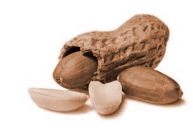 peanut