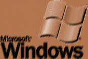 One of the logos of Microsoft Windows, the Company's best-known  product.