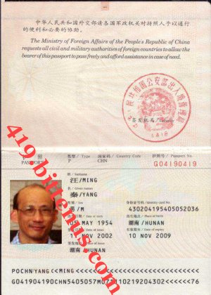 fake chinese passport number generator