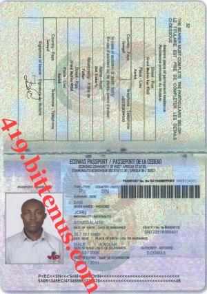 419My passport
