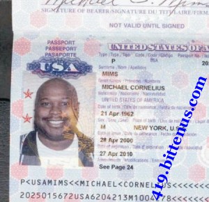 american passport screen