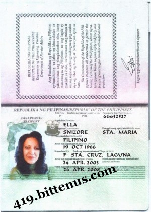 International_passport