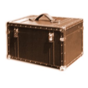 Victorian_Trunk_Box