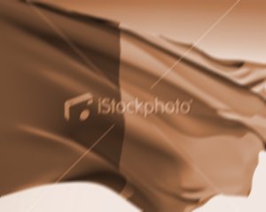 istockphoto_4870061-flag-of-benin